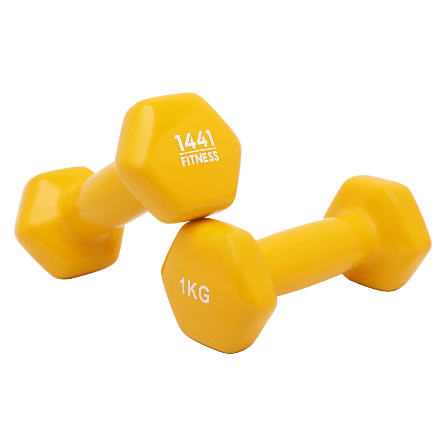 Vinyl Dumbbells 1 kg to 10 kg