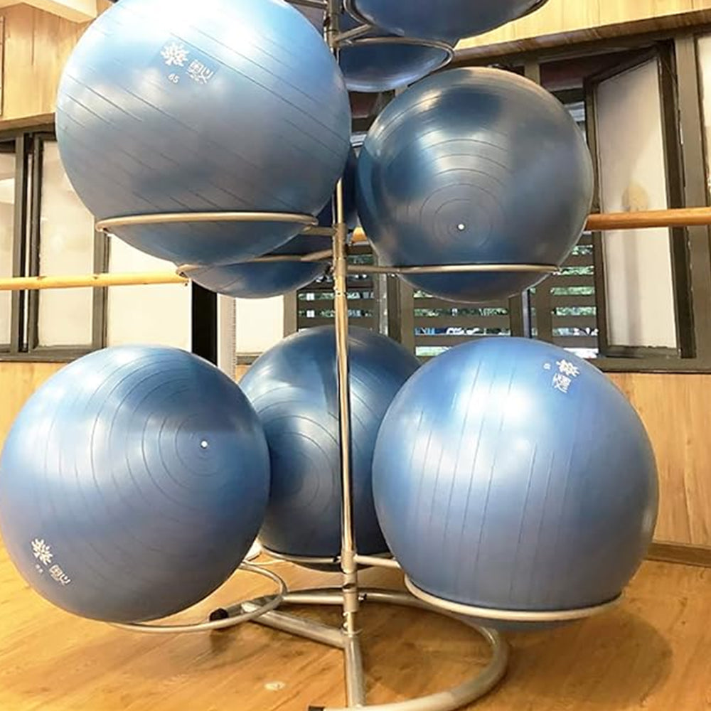 1441 Fitness 9 pcs Gym Ball Rack