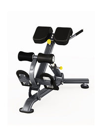 Thumbnail for Insight Fitness Back Extension - DR010