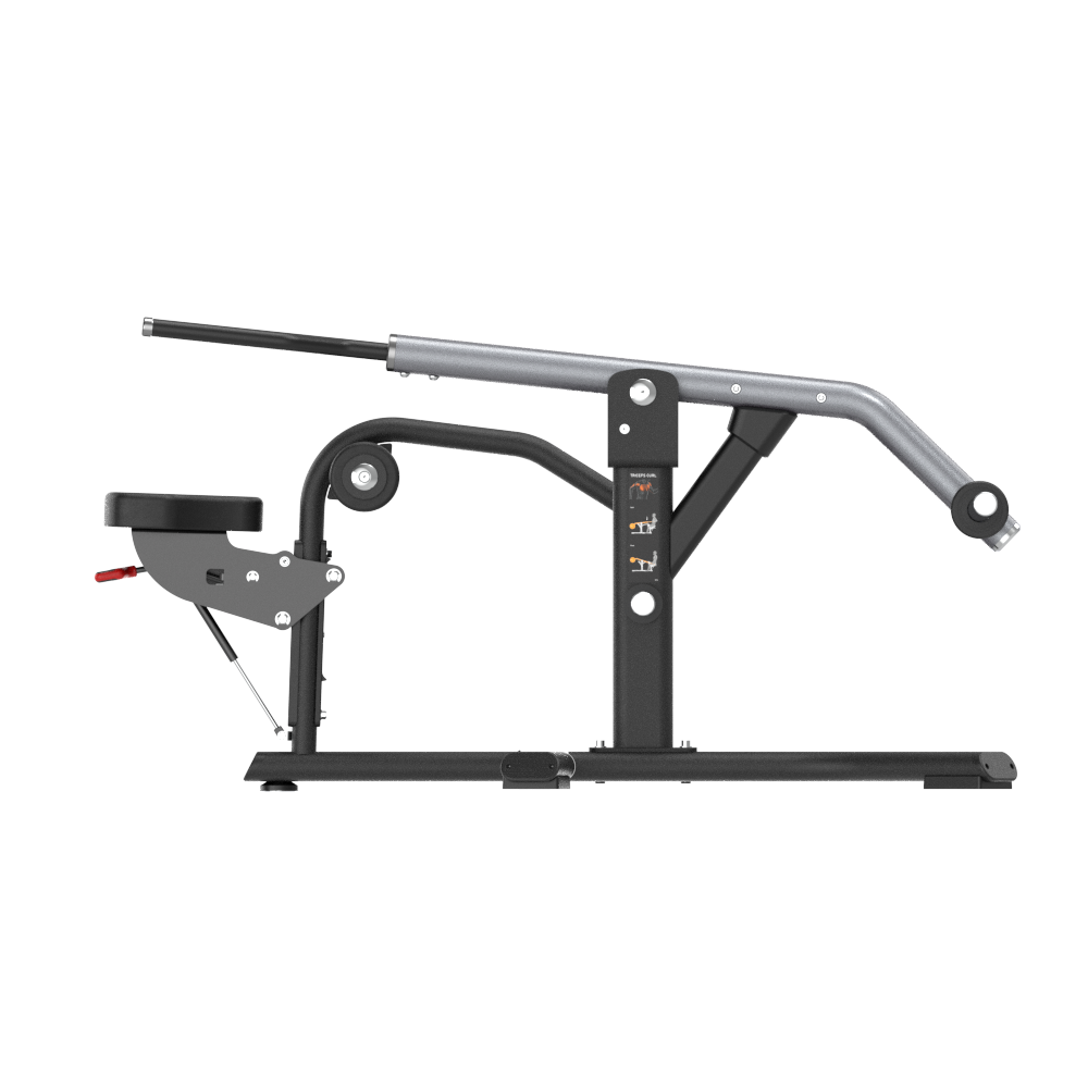 Insight Fitness Triceps Curl - SH016 for arm exercises on a white background