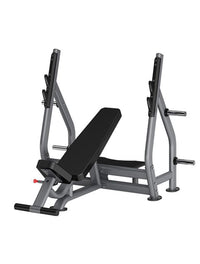 Thumbnail for Insight Fitness Incline Olympic Bench - DR005