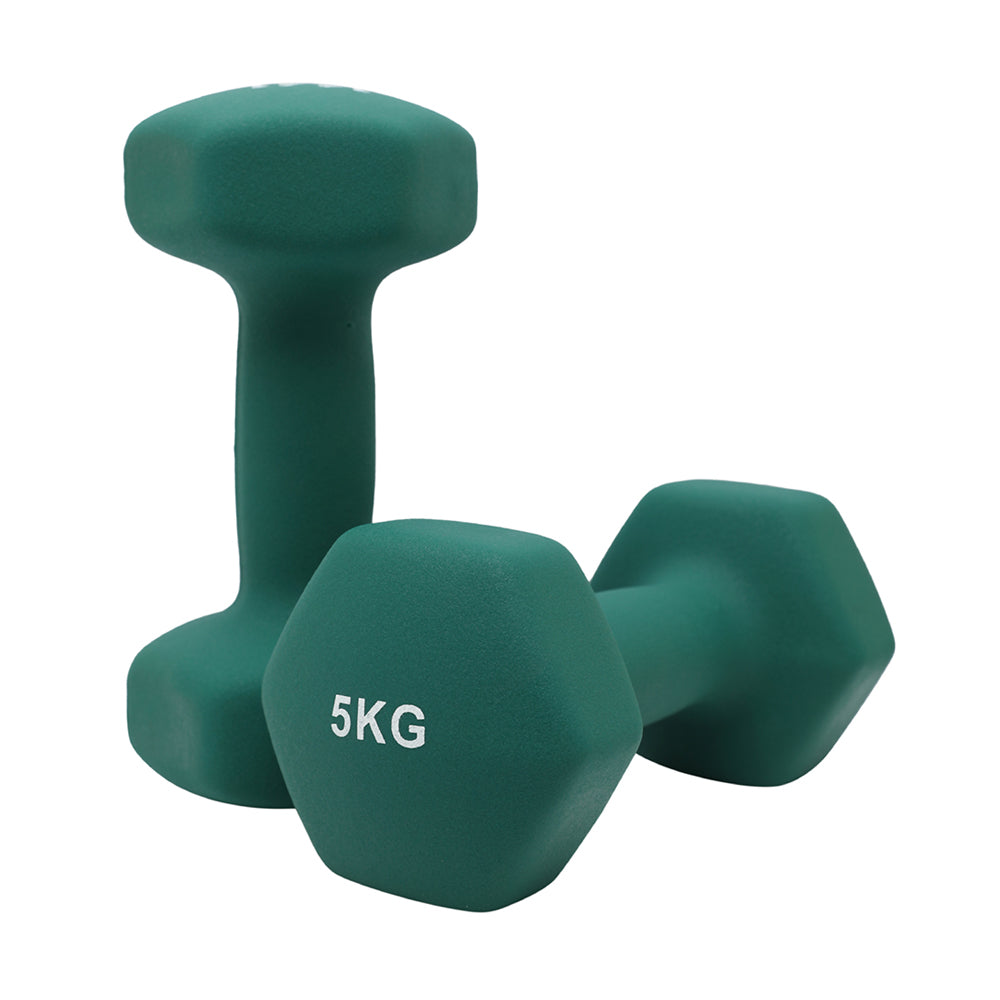 1441 Fitness - دمبل سداسي من النيوبرين بوزن من 1 إلى 10 كجم (يباع كزوج)