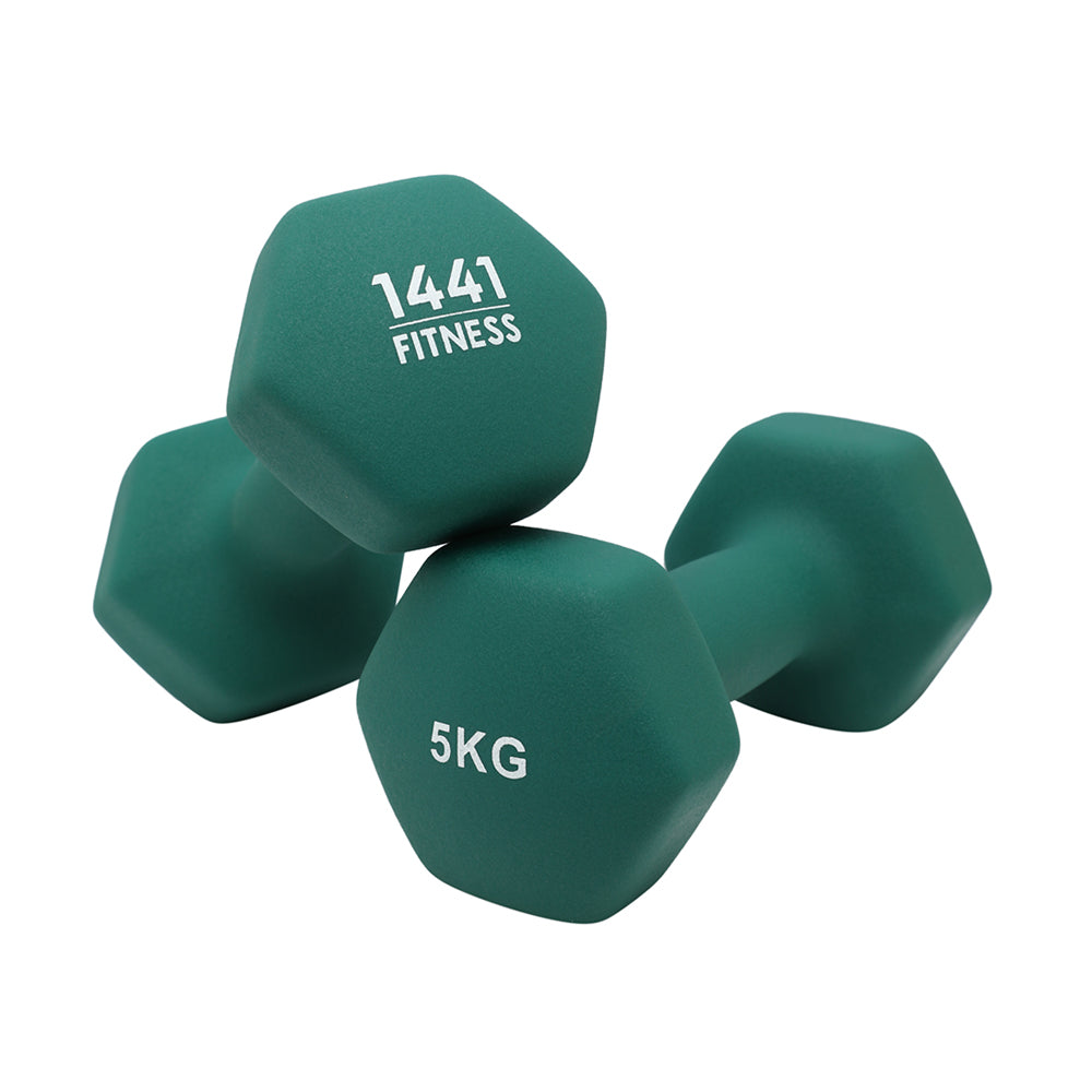 1441 Fitness - دمبل سداسي من النيوبرين بوزن من 1 إلى 10 كجم (يباع كزوج)