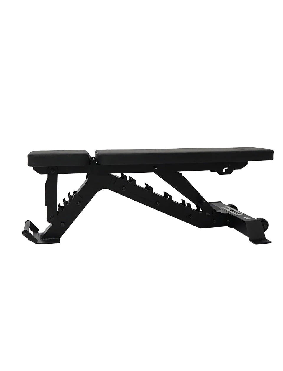 1441 Fitness - مقعد سلسلةFID  - A8008