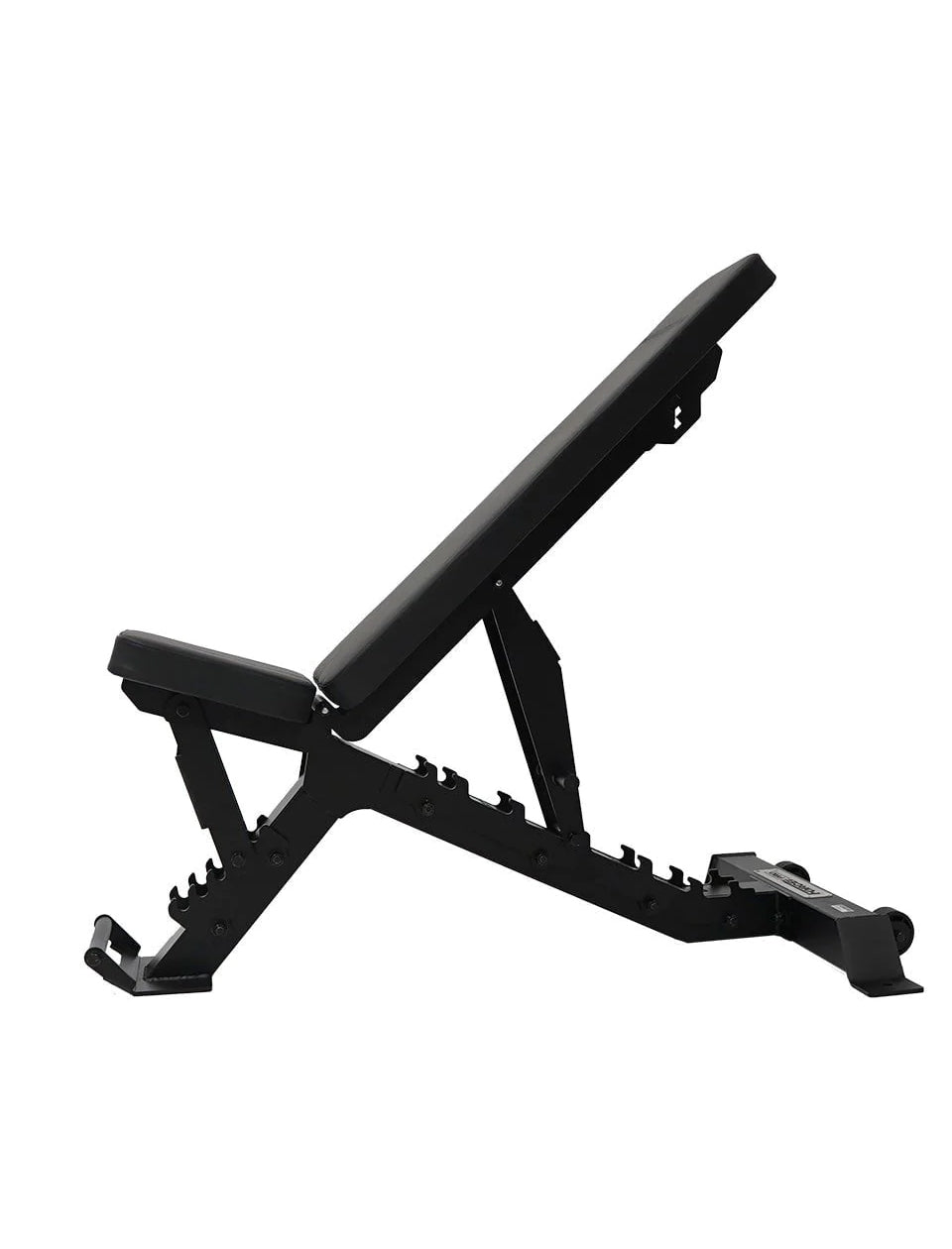 1441 Fitness - مقعد سلسلةFID  - A8008