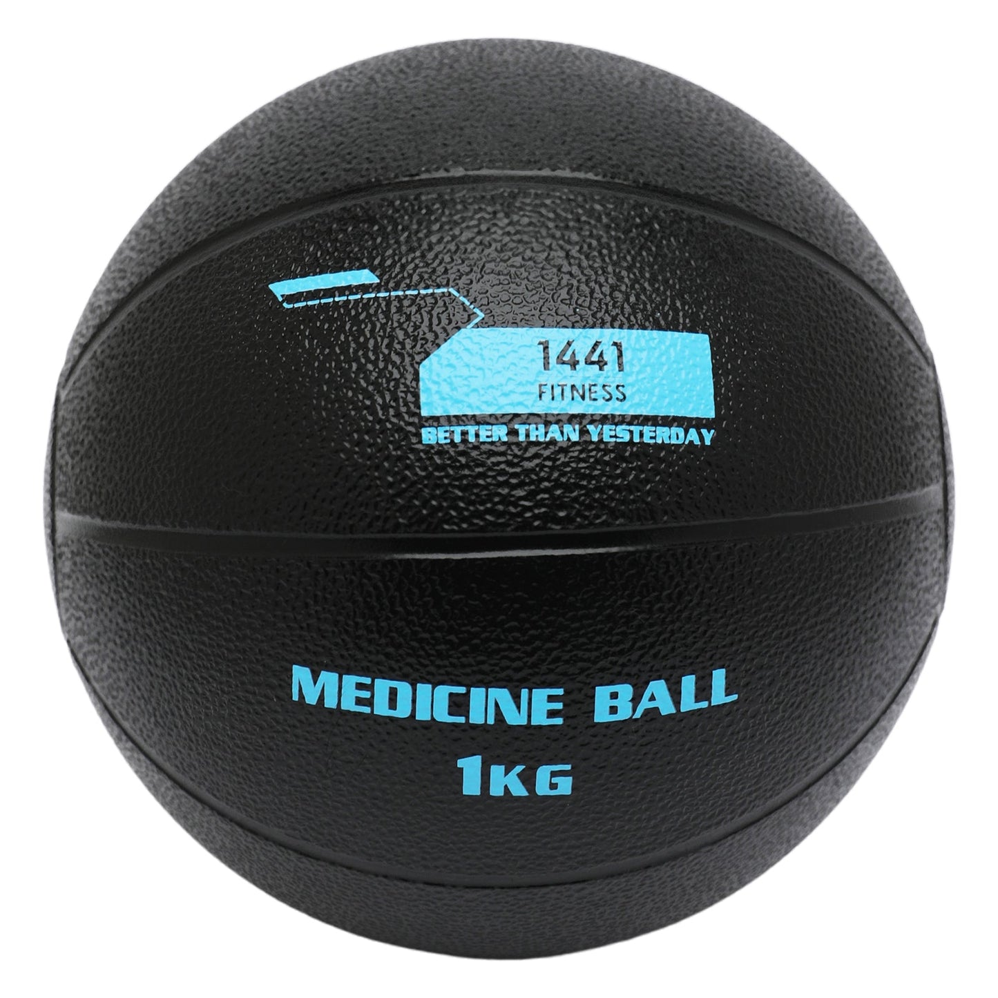 1441 Fitness Medicine Balls 1 to 10 KG