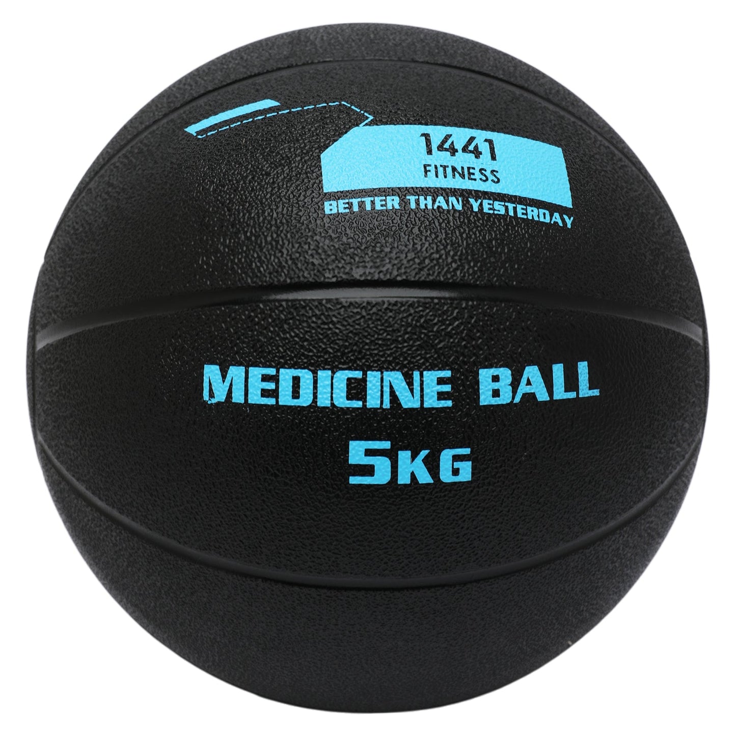 1441 Fitness Medicine Balls 1 to 10 KG