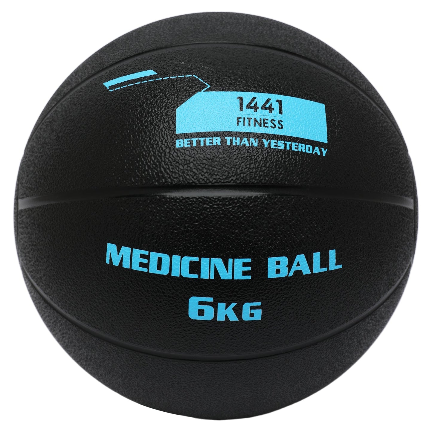 1441 Fitness Medicine Balls 1 to 10 KG