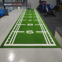 Thumbnail for Sled Track Grass with Marking - 10 x 2 Meters (Green)