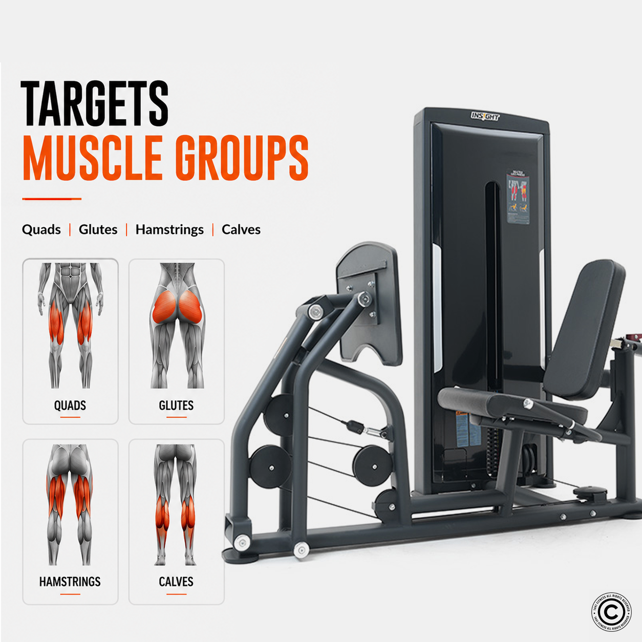 Insight Fitness Seated Leg Press - SA016