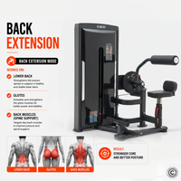Thumbnail for Insight Fitness SA Series Abdominal Back Extension - SA009D