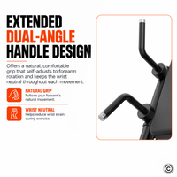 Thumbnail for Insight Fitness Biceps & Triceps - SA044
