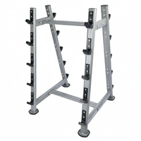Thumbnail for 1441 Fitness Barbell Rack for 10 - BR08
