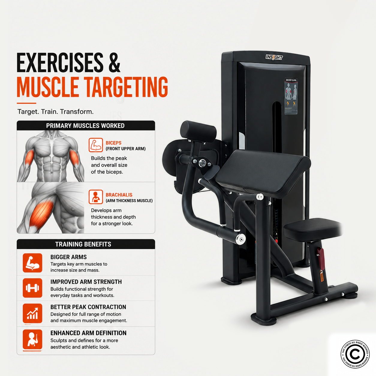 Insight Fitness SA Series Biceps Curl - SA006E