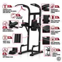 Thumbnail for Insight Fitness Vertical Knee Rise / Dip - DR008