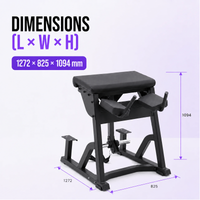 Thumbnail for Insight Fitness Reverse Hyper - PB407