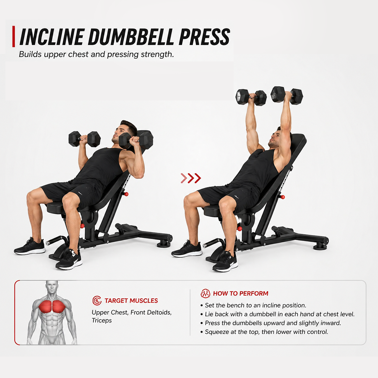 Insight Fitness Adjustable Bench - DR016
