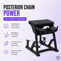 Thumbnail for Insight Fitness Reverse Hyper - PB407