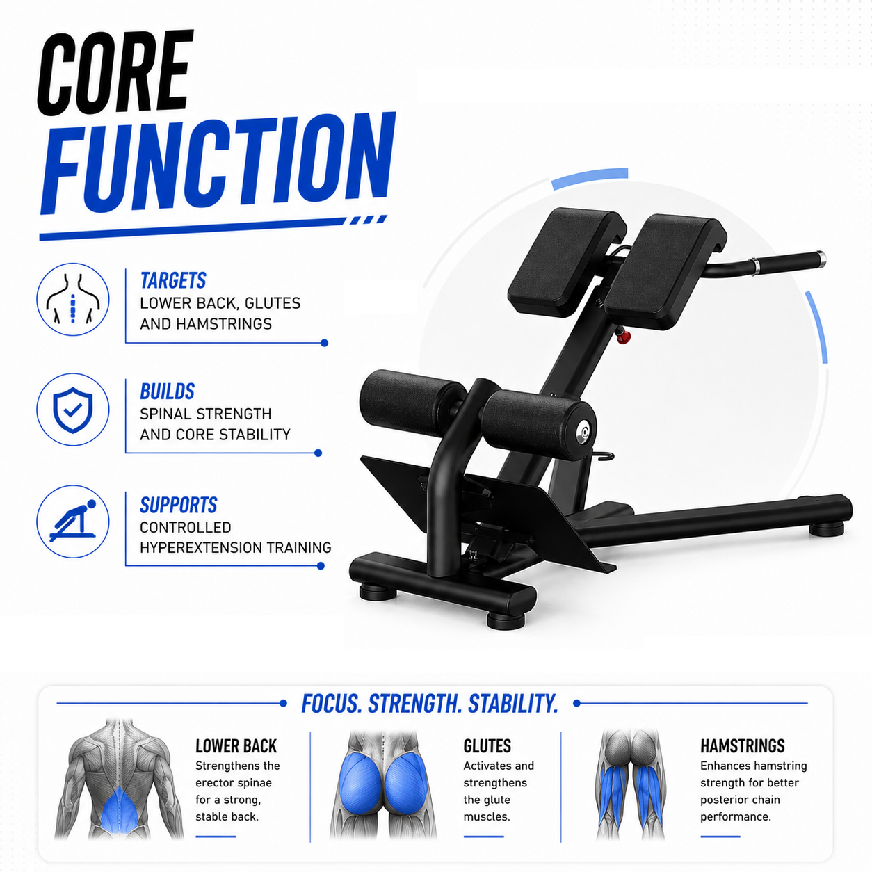 Insight Fitness Back Extension - DR010