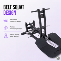 Thumbnail for Insight Fitness Belt Squat - PB312