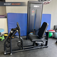 Thumbnail for Insight Fitness Seated Leg Press - SA016