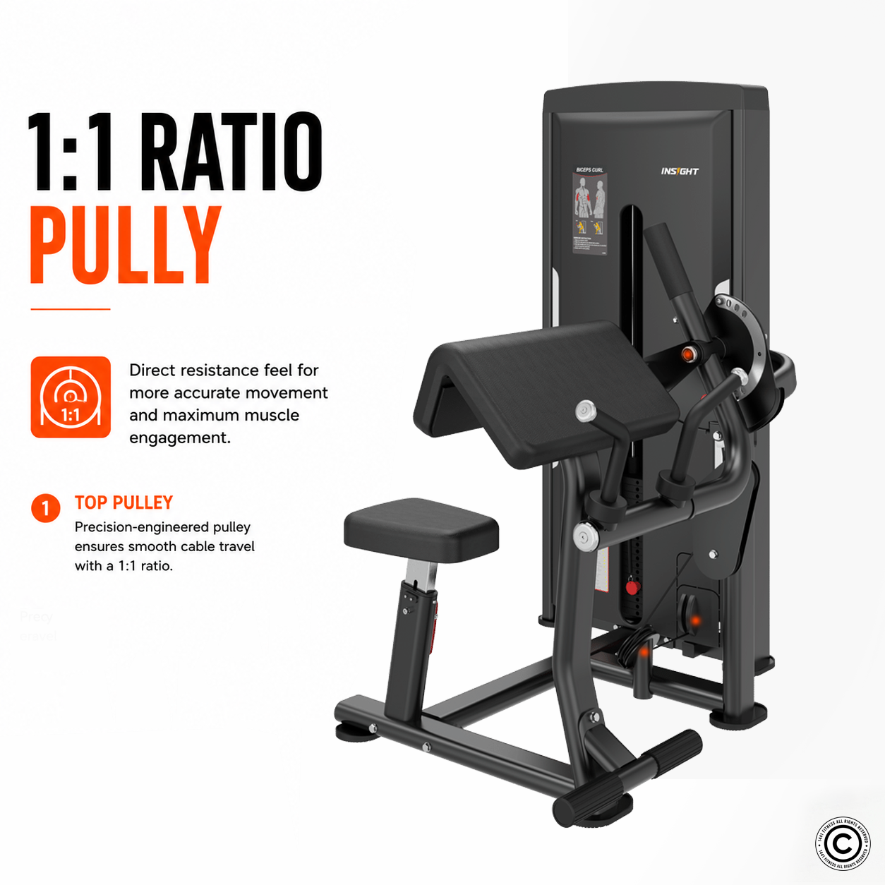 Insight Fitness Biceps & Triceps - SA044