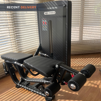 Thumbnail for Insight Fitness Leg Curl & Leg Extension - SA031