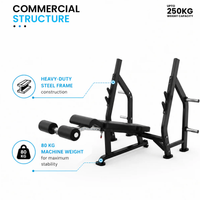 Thumbnail for Insight Fitness Decline Olympic Bench - DR006