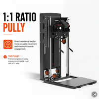 Thumbnail for Insight Fitness Standing Multi Flight SA054