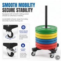Thumbnail for 1441 Fitness Bumper Plates Trolley with Wheels