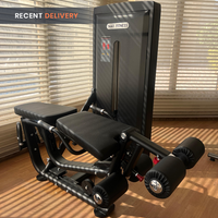 Thumbnail for Insight Fitness Leg Curl & Leg Extension - SA031