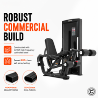 Thumbnail for Insight Fitness Leg Curl & Leg Extension - SA031