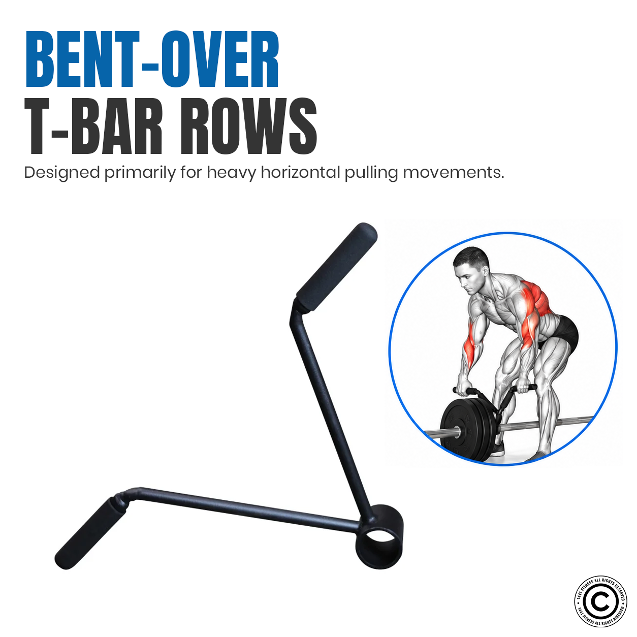 1441 Fitness T Bar Row Handle