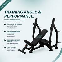 Thumbnail for Insight Fitness Incline Olympic Bench - DR005