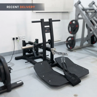 Thumbnail for Insight Fitness Belt Squat - PB312