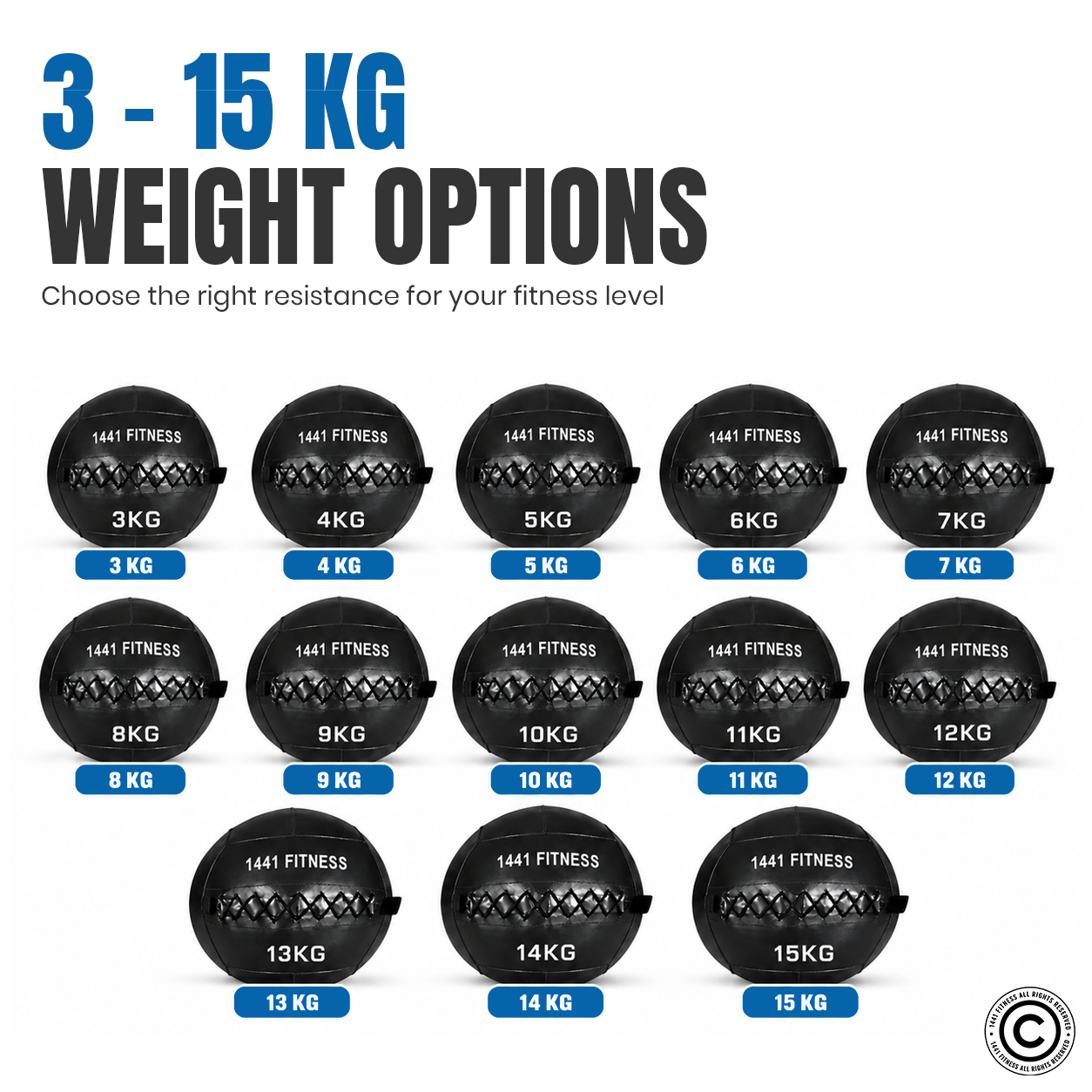 1441 Fitness Premium Wall Balls - ( 3 KG to 15 KG)