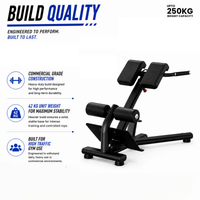 Thumbnail for Insight Fitness Back Extension - DR010