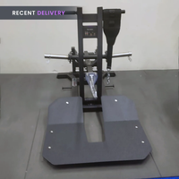 Thumbnail for Insight Fitness Belt Squat - PB312
