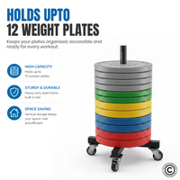 Thumbnail for 1441 Fitness Bumper Plates Trolley with Wheels