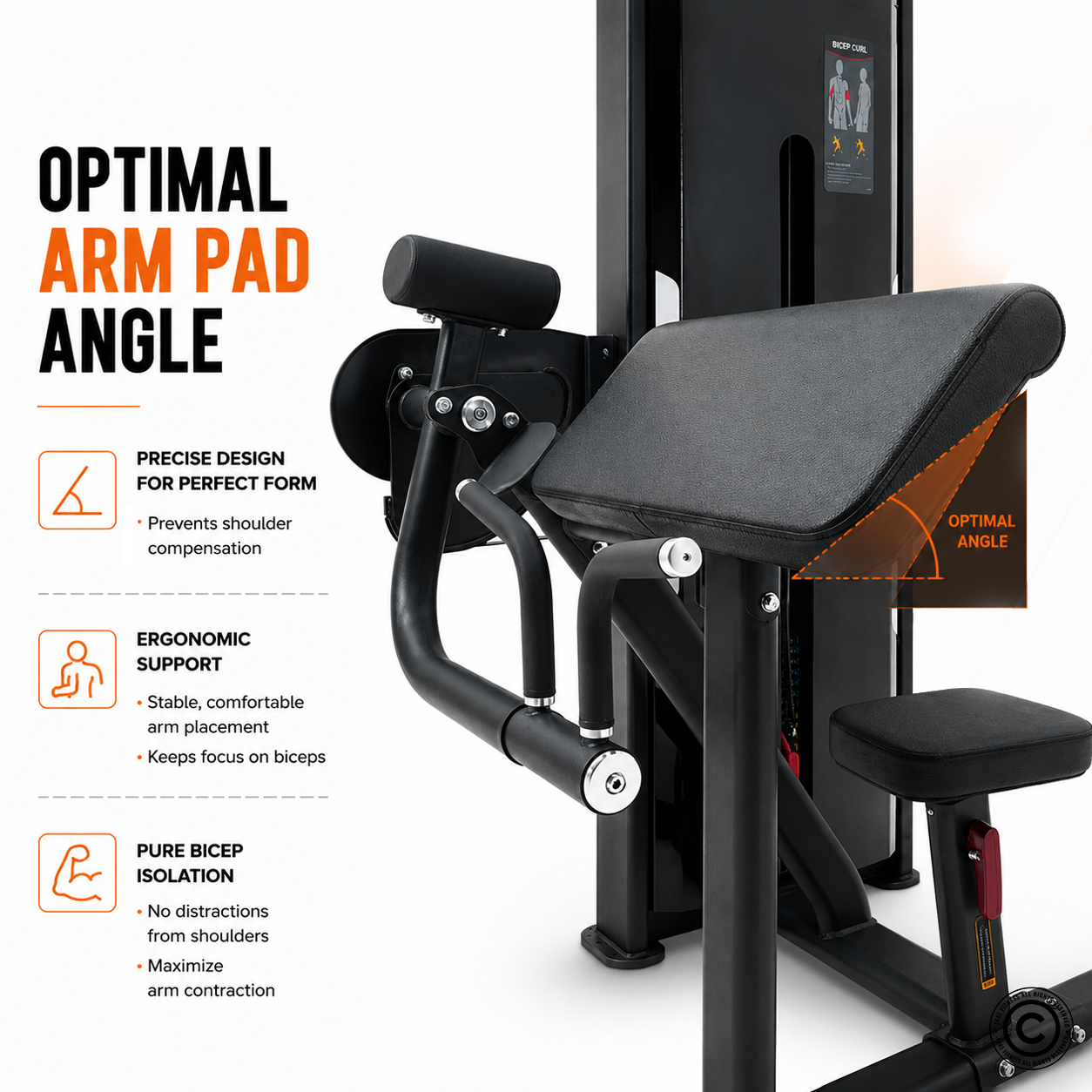 Insight Fitness SA Series Biceps Curl - SA006E