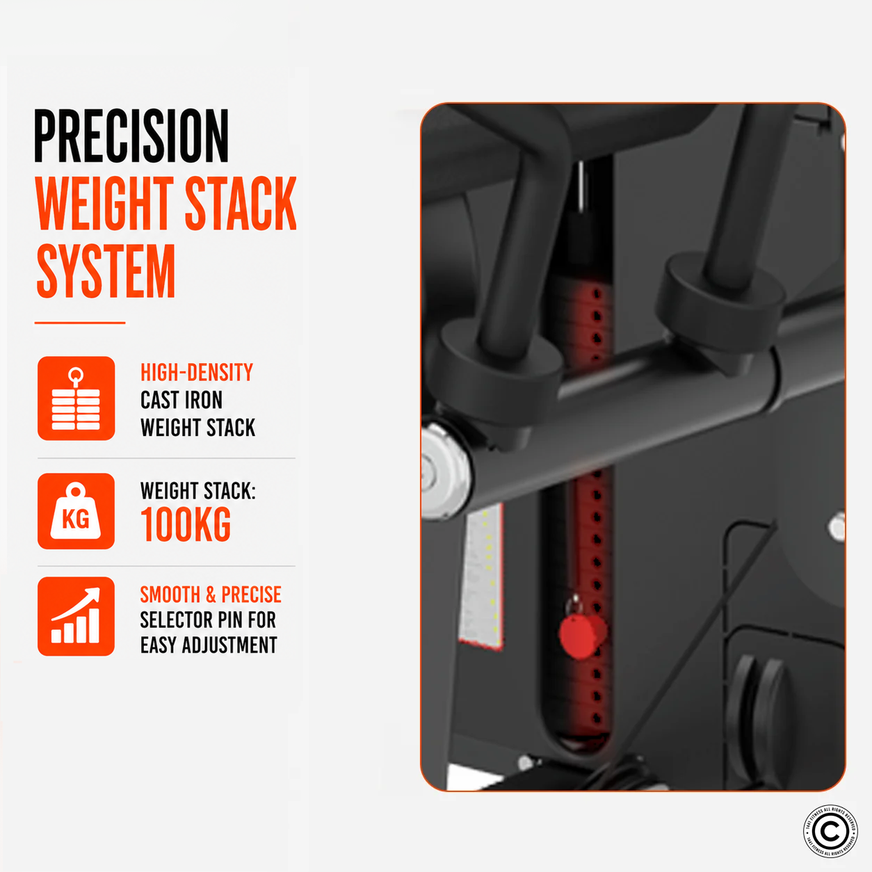 Insight Fitness Biceps & Triceps - SA044