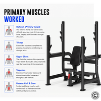 Thumbnail for Insight Shoulder Press - DR029