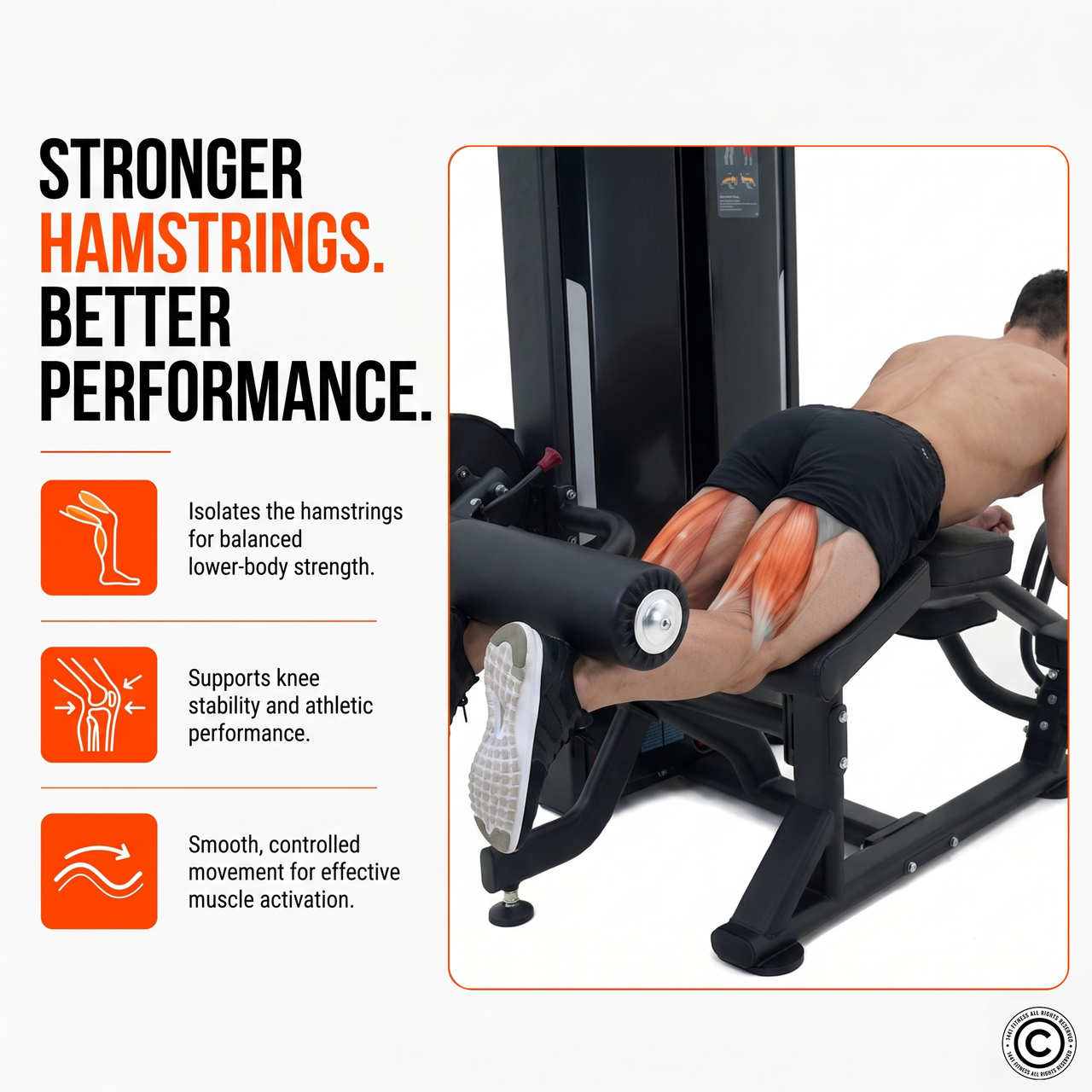 Insight Fitness SA Series Leg Curl - SA015D