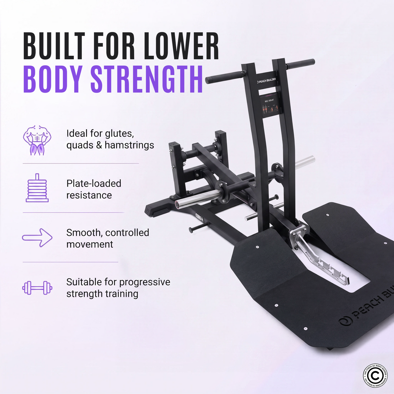 Insight Fitness Belt Squat - PB312