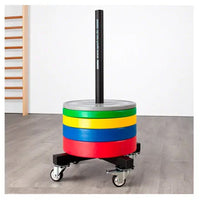 1441 Fitness Bumper Plates Trolley with Wheels