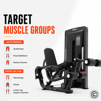 Thumbnail for Insight Fitness Leg Curl & Leg Extension - SA031
