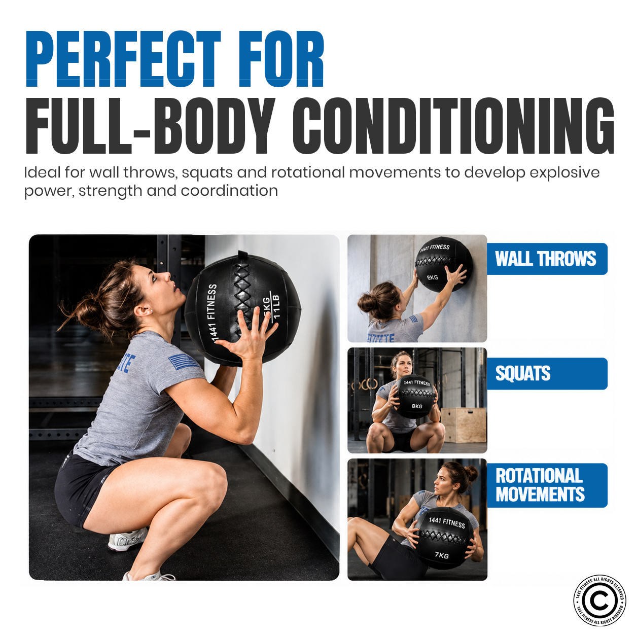 1441 Fitness Premium Wall Balls - ( 3 KG to 15 KG)