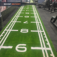 Thumbnail for Sled Track Grass with Marking - 10 x 2 Meters (Green)