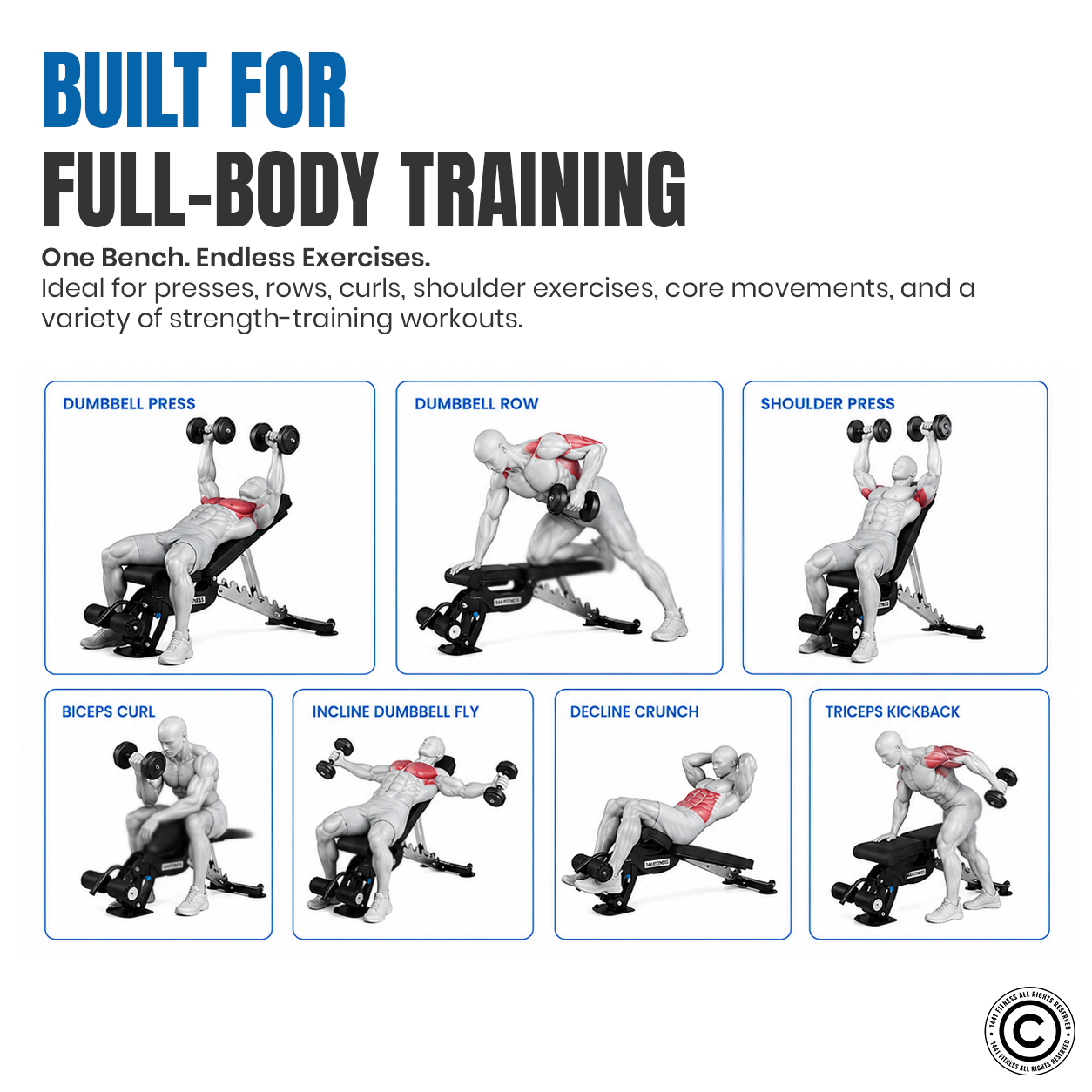 1441 Fitness Adjustable Bench FID - A8007