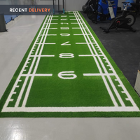 Thumbnail for Sled Track Grass with Marking - 10 x 2 Meters (Green)
